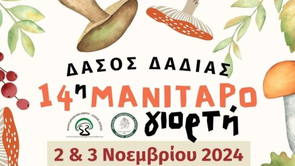 Η 14η Μανιταρογιορτή έρχεται 2 & 3 Νοεμβρίου στο Δάσος Δαδιάς!