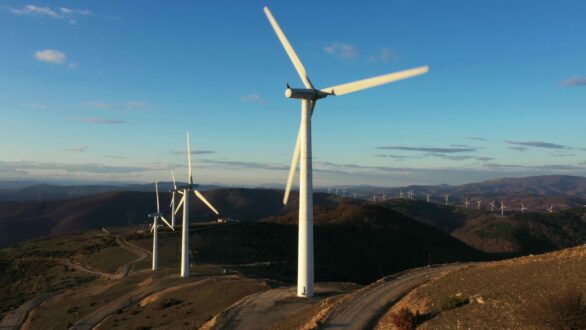 Περιβαλλοντικές οργανώσεις: Ο υπουργός καθυστερεί αδικαιολόγητα να προστατεύσει τις πυρόπληκτες περιοχές σε Έβρο και Ροδόπη από νέους αιολικούς σταθμούς!