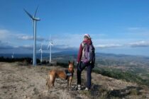 Μελέτη για τα θύματα των αιολικών σταθμών στη Θράκη με τη βοήθεια εκπαιδευμένων σκύλων