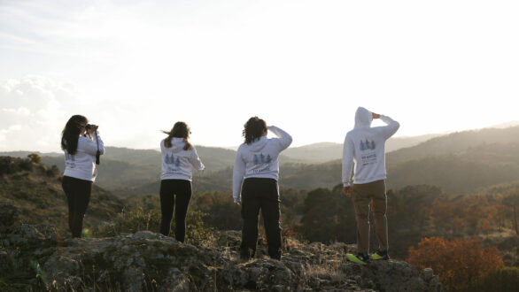 Ίδρυμα Χατζηγάκη: Νέα αρχή για την αναγέννηση του Δάσους της Δαδιάς
