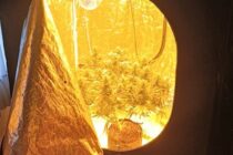 Συλλήψεις 10 ατόμων για ναρκωτικά στην Αν. Μακεδονία και Θράκη