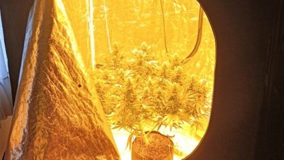 Συλλήψεις 10 ατόμων για ναρκωτικά στην Αν. Μακεδονία και Θράκη