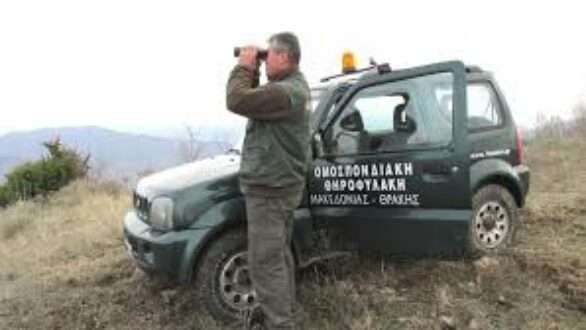 Σκότωσαν ζαρκάδια σε καταφύγιο άγριας ζωής. Τους συνέλαβαν θηροφύλακες