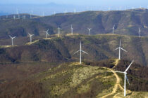 Ακυρώνεται η αδειοδότηση τριών Αιολικών Σταθμών στη Θράκη λόγω ανεπαρκούς εκτίμησης επιπτώσεων μετά την πυρκαγιά