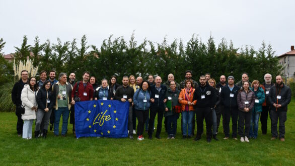 Πρόγραμμα LIFE για την αποκατάσταση του πληθυσμού του Μαυρόγυπα στο Δάσος Δαδιάς