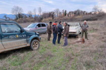 Σοβαρό περιστατικό λαθροθηρίας στο Καταφύγιο Άγριας Ζωής της Κερκίνης