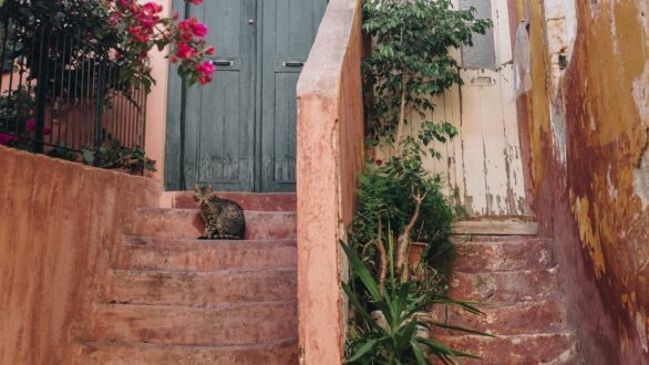 Έσπασε τα ρεκόρ ο ελληνικός τουρισμός το 2024: 36 εκατ. επισκέπτες και σχεδόν 22 δισ. έσοδα