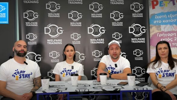 STRAY 2 STAY: Μια δυνατή εθελοντική ομάδα εκπαιδευτών σκύλων που ήρθε για να αλλάξει τα δεδομένα