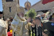 Λαμπροτρίτη στην Κορνοφωλιά