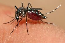 Νέο κρούσμα ιού του Δυτικού Νείλου στον Δήμο Σουφλίου – Το 5ο στον Έβρο