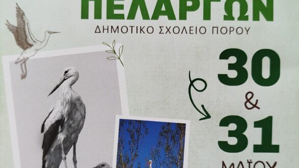 8ο φεστιβάλ πελαργών στο Δημοτικό Σχολείο Πόρου