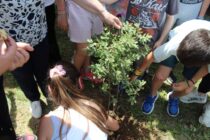 Συμβολική δενδροφύτευση στον αύλειο χώρο του Πολιτιστικού Συλλόγου Κίρκης