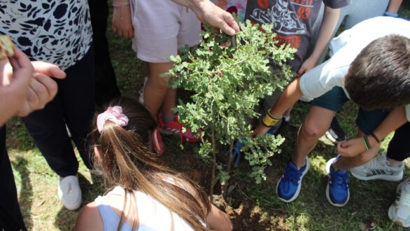 Συμβολική δενδροφύτευση στον αύλειο χώρο του Πολιτιστικού Συλλόγου Κίρκης
