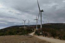 Περιβαλλοντικές οργανώσεις: Ώρα κρίσης για τους αιολικούς σταθμούς στον πυρόπληκτο Έβρο!