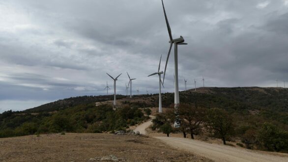 Περιβαλλοντικές οργανώσεις: Ώρα κρίσης για τους αιολικούς σταθμούς στον πυρόπληκτο Έβρο!