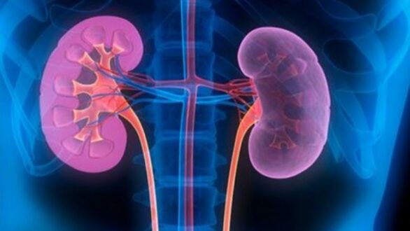 Δωρεάν ιατρικές εξετάσεις για τους δημότες της Σαμοθράκης