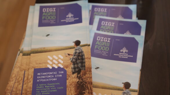 DigiAgriFood: Ενημερωτική ημερίδα στην ΠΕ Ξάνθης για τη βιώσιμη διαχείριση της καλλιέργειας της ακτινιδιάς-ευκαιρίες και χρηματοδοτικά εργαλεία