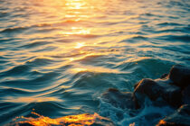 Τον Μάιο οι ασυνήθιστα υψηλές θερμοκρασίες παρέμειναν ο κανόνας σε γη και θάλασσες