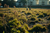 Ακαθάριστα οικόπεδα: Λήγει η προθεσμία, τα πρόστιμα που προβλέπονται