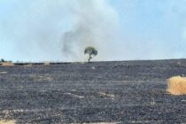 Φωτιά σε αγροτική περιοχή κοντά στο χωριό Ασημένιο