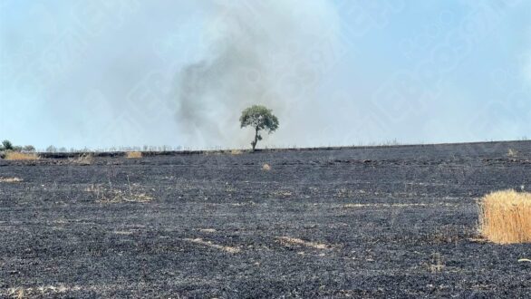 Φωτιά σε αγροτική περιοχή κοντά στο χωριό Ασημένιο