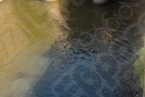 Επίσκεψη Κλιμακίου ΠΑΣΟΚ για το ζήτημα των νερών στους ποταμούς Έβρο και Άρδα