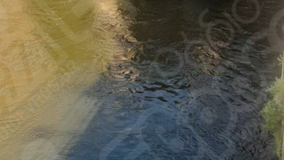 Επίσκεψη Κλιμακίου ΠΑΣΟΚ για το ζήτημα των νερών στους ποταμούς Έβρο και Άρδα