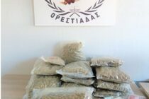 Κατάσχεση 16 κιλών κάνναβης στον Έβρο – Σύλληψη αλλοδαπού στο Τελωνείο Καστανέων