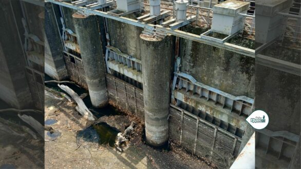 Αδιέξοδο σήμερα στην άρδευση του Βορείου Έβρου – “Δεν ξέρουμε αν φταίει ο κορμός” λέει ο Βενετίδης