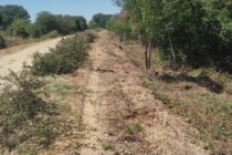 Δημιουργούνται περιμετρικές αντιπυρικές ζώνες σε χωριά του Τριγώνου