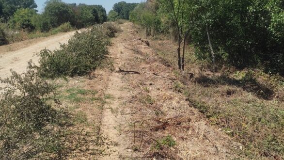 Δημιουργούνται περιμετρικές αντιπυρικές ζώνες σε χωριά του Τριγώνου