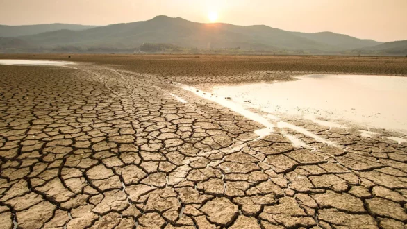 Άμεση συνάντηση με τον Υφυπουργό Κλιματικής Κρίσης ζητά ο Δήμαρχος Αλεξανδρούπολης για την αντιμετώπιση της αγροτικής καταστροφής στον Νότιο Έβρο
