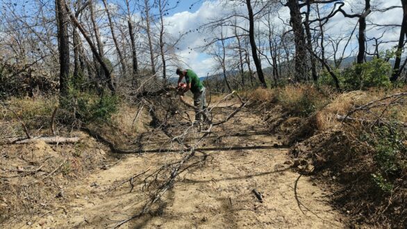 Συνδρομή της Μονάδας Διαχείρισης Δέλτα Έβρου και Δαδιάς στις περιπολίες για την αντιπυρική προστασία