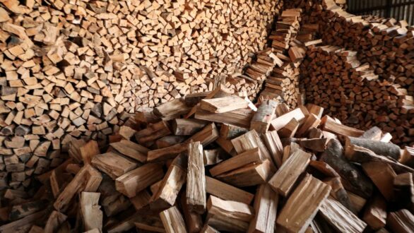 Προμήθεια καυσόξυλων από το Δήμο Σαμοθράκης