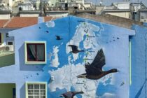 Η νανόχηνα στο 9ο Δημοτικό Σχολείο Αλεξανδρούπολης