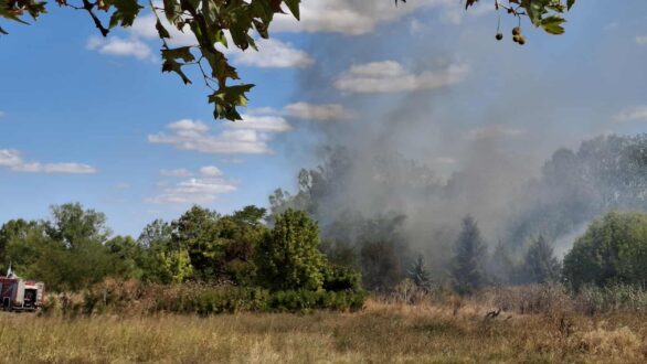 Ορεστιάδα: Υπό έλεγχο η φωτιά σε χορτολιβαδική έκταση κοντά στο Πολύκεντρο