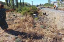 Η ανακοίνωση της Hellenic Train για το ατύχημα στο Σουφλί