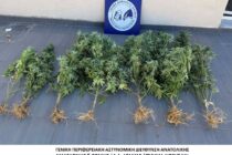 Δώδεκα συλλήψεις σε μία εβδομάδα για υποθέσεις ναρκωτικών