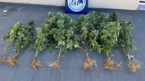 Δώδεκα συλλήψεις σε μία εβδομάδα για υποθέσεις ναρκωτικών