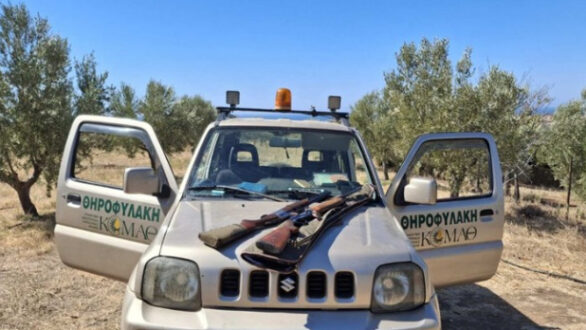 Σύλληψη δύο ατόμων για λαθροθηρία ορτυκιών στη Ροδόπη