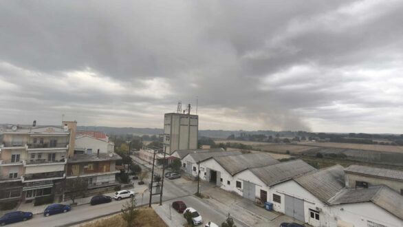 Υπο έλεγχο η φωτιά που ξέσπασε από χθες στον κάμπο της Ορεστιάδας – Πυκνοί καπνοί στην περιοχή