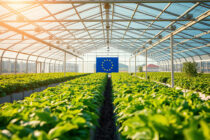 Παρατείνεται η προθεσμία υποβολής αιτήσεων για θερμοκήπια και στέγαστρα φυτικής παραγωγής