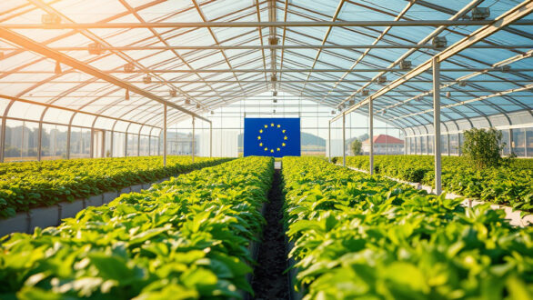 Παρατείνεται η προθεσμία υποβολής αιτήσεων για θερμοκήπια και στέγαστρα φυτικής παραγωγής