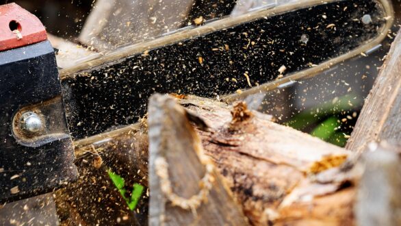 Τραγικός θάνατος 80χρονου, ενώ έκοβε ξύλα στη Νέα Χηλή