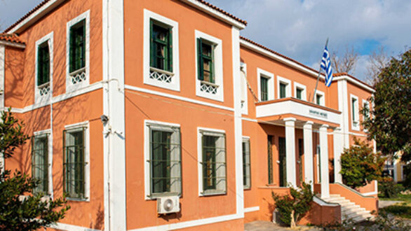 Προφυλακιστέοι κρίθηκαν οι 12 Τούρκοι που συνελήφθησαν με τα πιστόλια στον Έβρο 