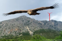 Περιβαλλοντικές οργανώσεις: Απόφαση – ορόσημο της ΡΑΑΕΥ για τον θεσμό των Ενεργειακών Κοινοτήτων