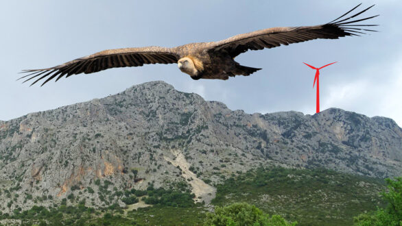 Περιβαλλοντικές οργανώσεις: Απόφαση – ορόσημο της ΡΑΑΕΥ για τον θεσμό των Ενεργειακών Κοινοτήτων