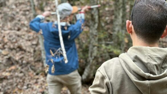 ΕΠΒΘ: Σώζοντας τη βιοποικιλότητα στον Έβρο – Έργο συλλογής σπόρων για αναδασώσεις