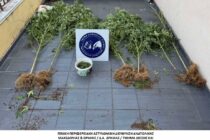Συνεχείς επιχειρήσεις κατά των ναρκωτικών με 11 συλλήψεις σε πέντε νομούς
