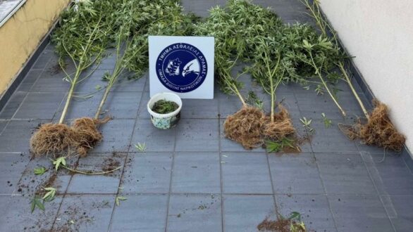 Συνεχείς επιχειρήσεις κατά των ναρκωτικών με 11 συλλήψεις σε πέντε νομούς
